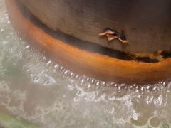 -南门四季铜锅涮肉(大屯·北苑店)