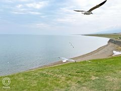 -青海湖国家重点风景名胜区