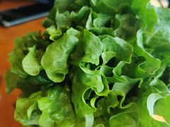 -伍丁·烤牛肋(和平东桥店)