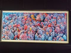 -罗红摄影艺术馆