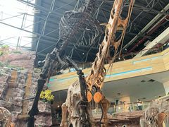 -安徽省地质博物馆