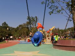 -铁山坪森林公园