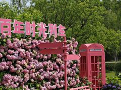 -无锡蠡湖国家湿地公园-蠡园