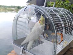 -水岸居湖景农家乐·阳澄湖大闸蟹