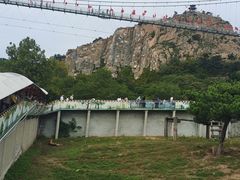 -西霞口神雕山野生动物世界