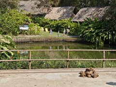 -大象粑粑造纸公园