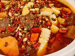 毛血旺-台北楚楚园馅饼粥(虹桥南丰城店)