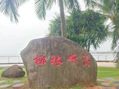 -万绿园