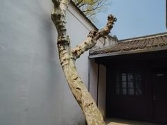 -蒋氏故居