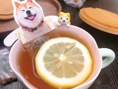 -逗柴咖啡屋·狗咖猫咖宠物桌游