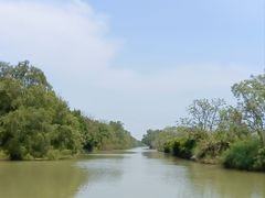 -大湾区中央湿地公园