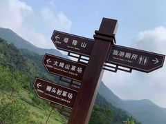 -大姆山草场