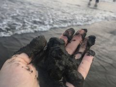 -台山黑沙湾海浴场