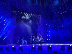 -灵玲国际马戏城