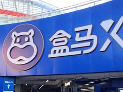 -盒马X会员店(王府井奥莱UP TOWN店)