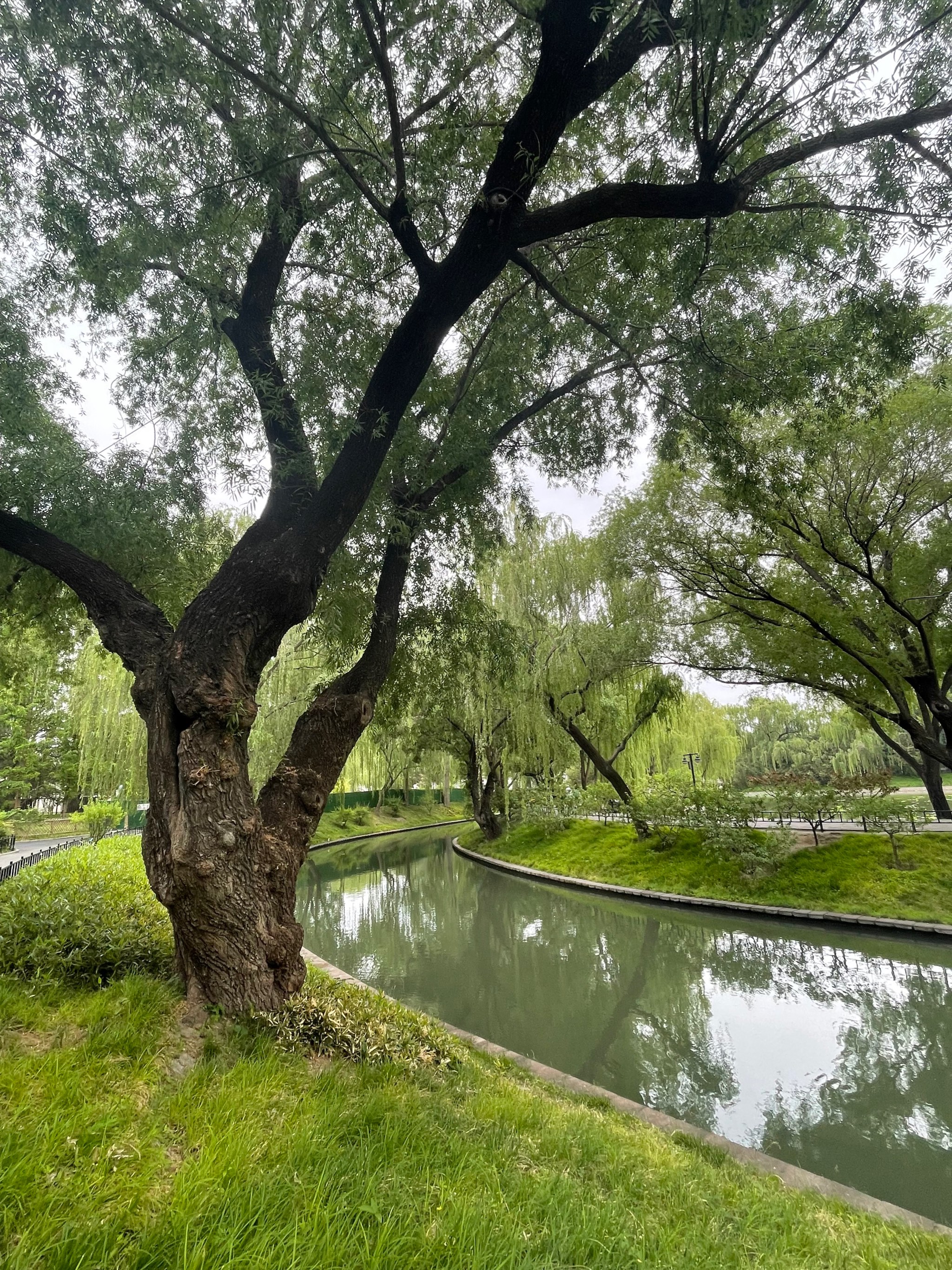 陈仓区紫竹苑图片