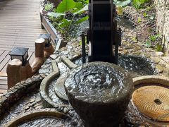 -天门沟九州驿站树上汤泉