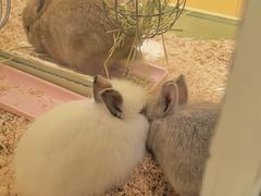 -龙猫仔乐园(惠福东路店)