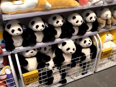 -SM城市广场(扬州店)