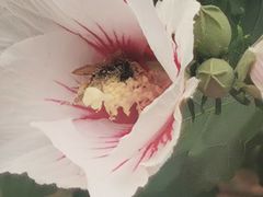 -昆明植物园