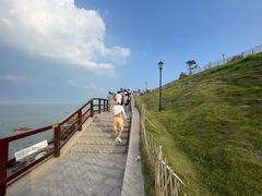 -小麦岛公园