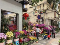 -越秀西湖花市(广州城市广场花卉店)