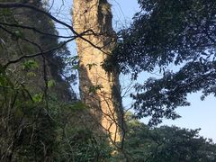 -龙湾潭国家森林公园