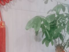-威尔佳·创意陕菜融合菜(老城根红庙坡地铁站店)