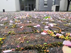 -江南大学(蠡湖校区)
