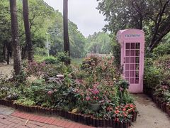 -人民公园(罗湖区)