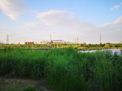 -永定河休闲森林公园