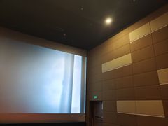 -曹杨影城(曹杨店)