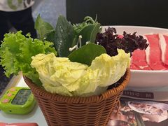 -洪氏嗨捞·猪肚鸡火锅(阳光天地店)