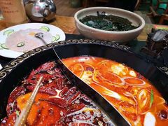 -渝大龙重庆火锅(温泉月亮湾店)