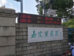 -嘉定紫藤园