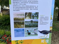 -同里国家湿地公园