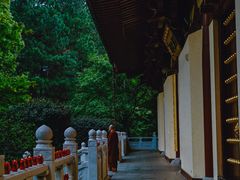 -庐山风景名胜区-东林大佛