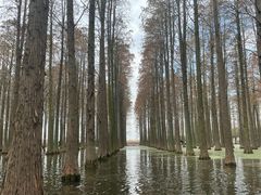 -渌洋湖湿地公园