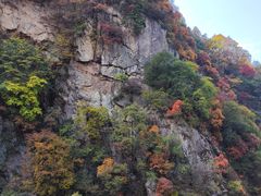 -西安祥峪森林公园