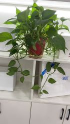 -SOR索尔祛痘·面部肌肤管理