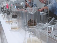 -喜茶(永旺梦乐城店)