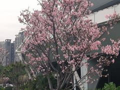 -文华公园(禅城区)
