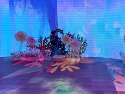 -超级奈尔宝SUPER NEOBIO(杭州星光店)