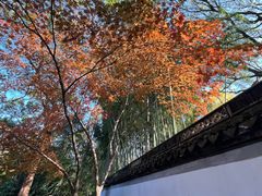 -秋霞圃