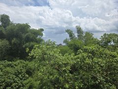 -开平碉楼文化旅游区马降龙景区