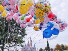 -上海迪士尼度假区