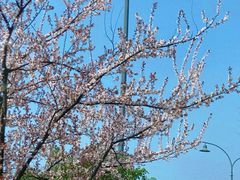 -虞山城墙