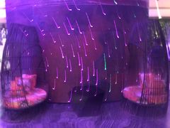 -上海外滩英迪格酒店