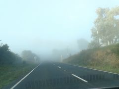 -怀托摩萤火虫洞