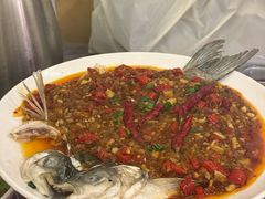 -羊子两室一厅